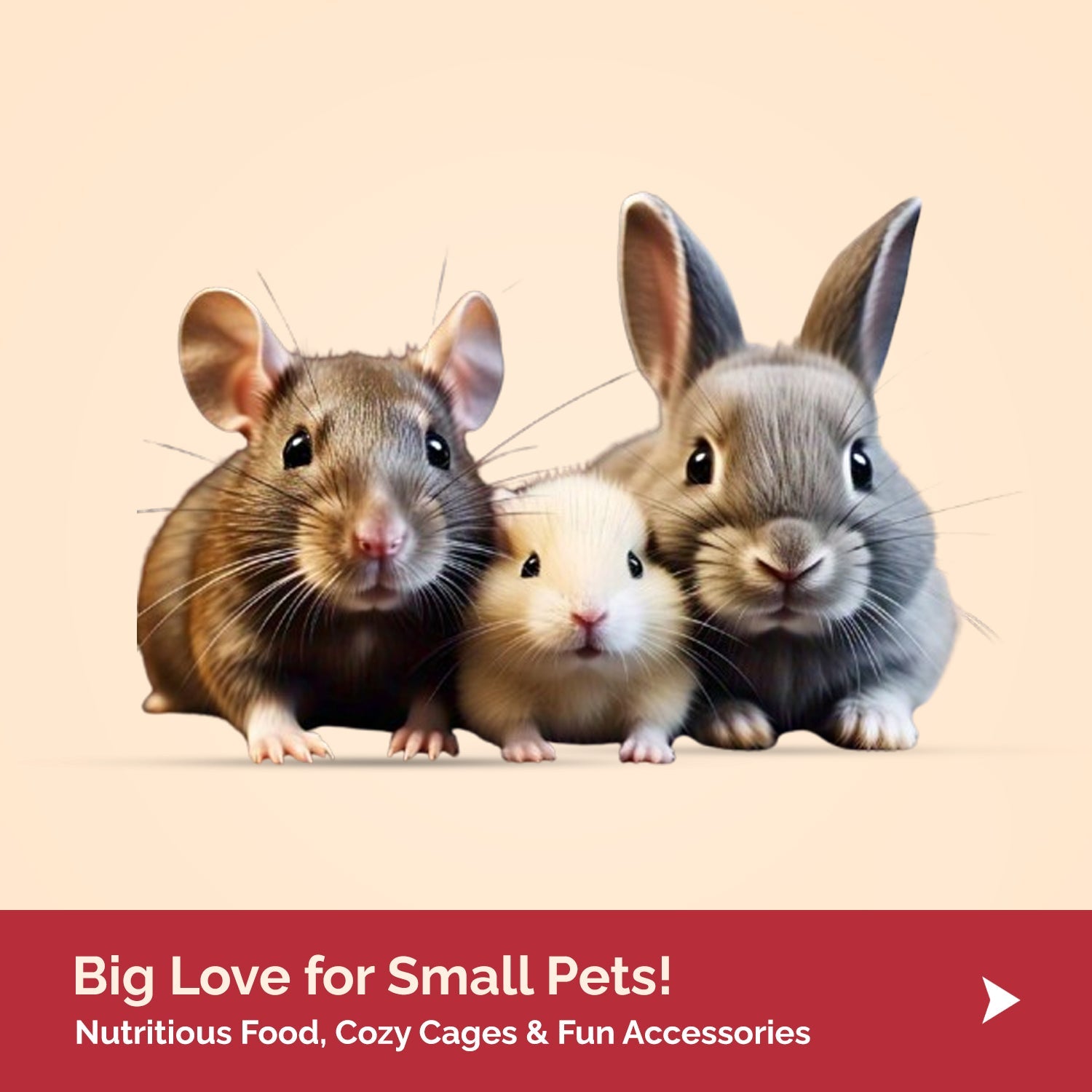 Small Animals