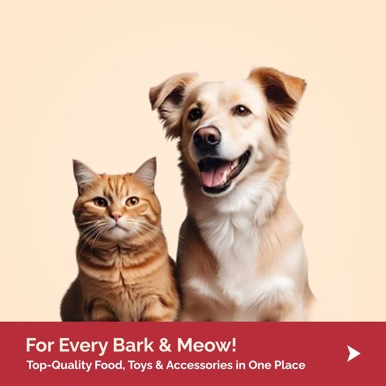 Dog & Cat