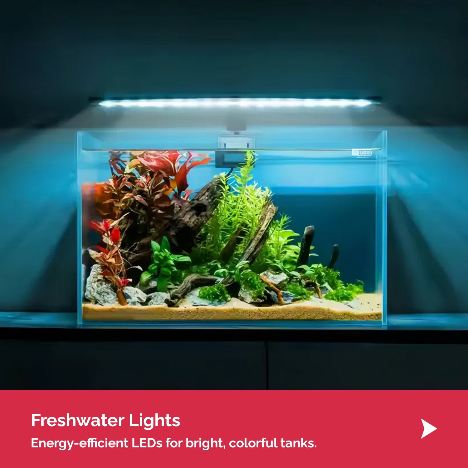 Fresh Water Light