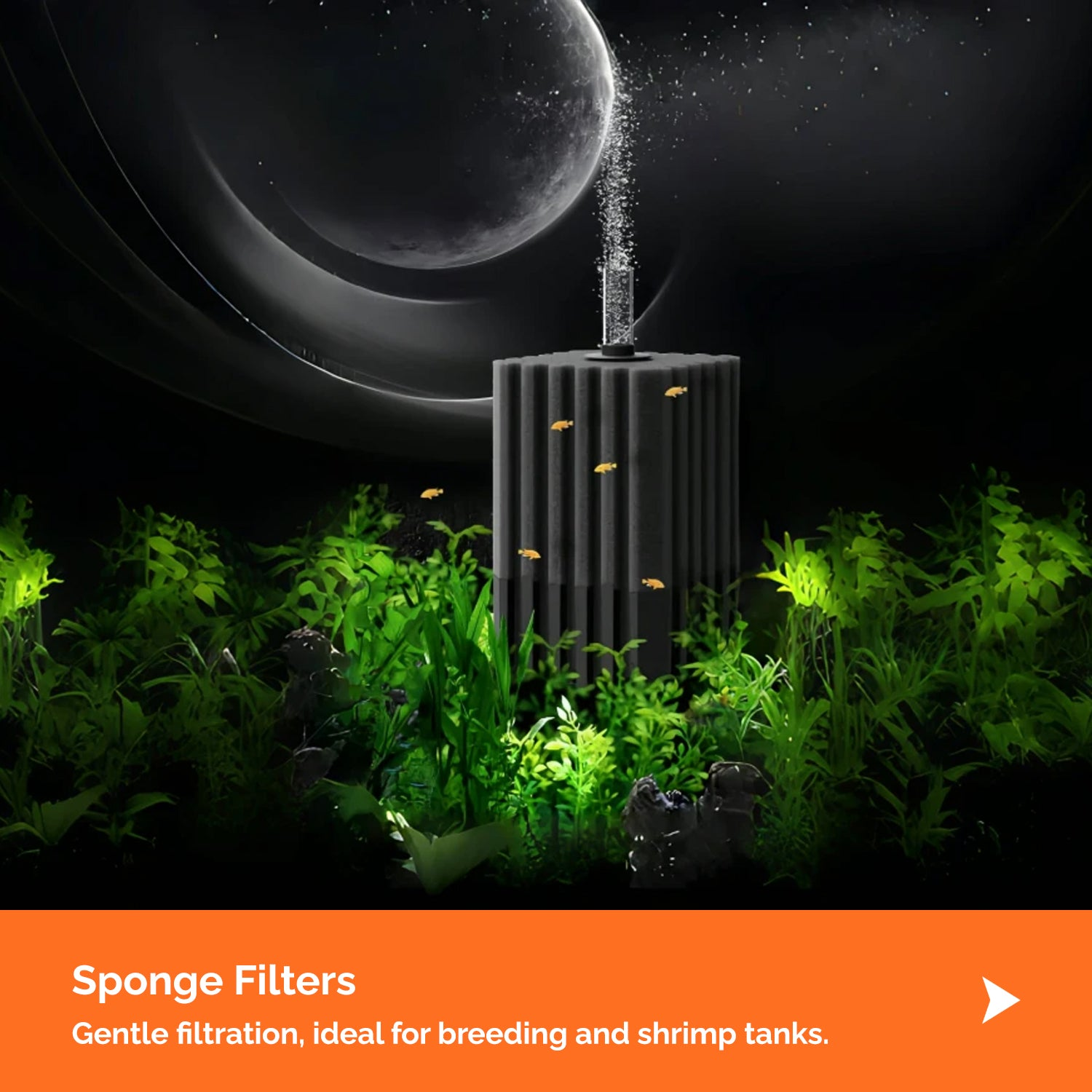 Sponge Filter