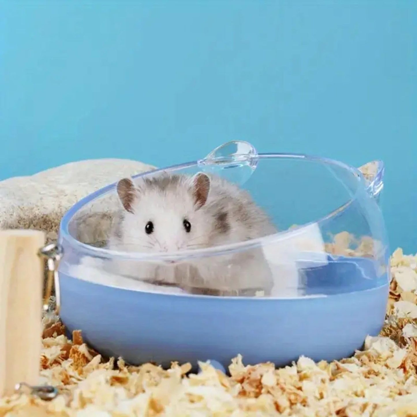 PetzLifeWorld 1 Pcs Transparent Hamster Basin, Non-Slip Base - Round, Four-Legged Design for Hamsters & Small Pets | Splash-Proof Small Pet Shower with Removable Design