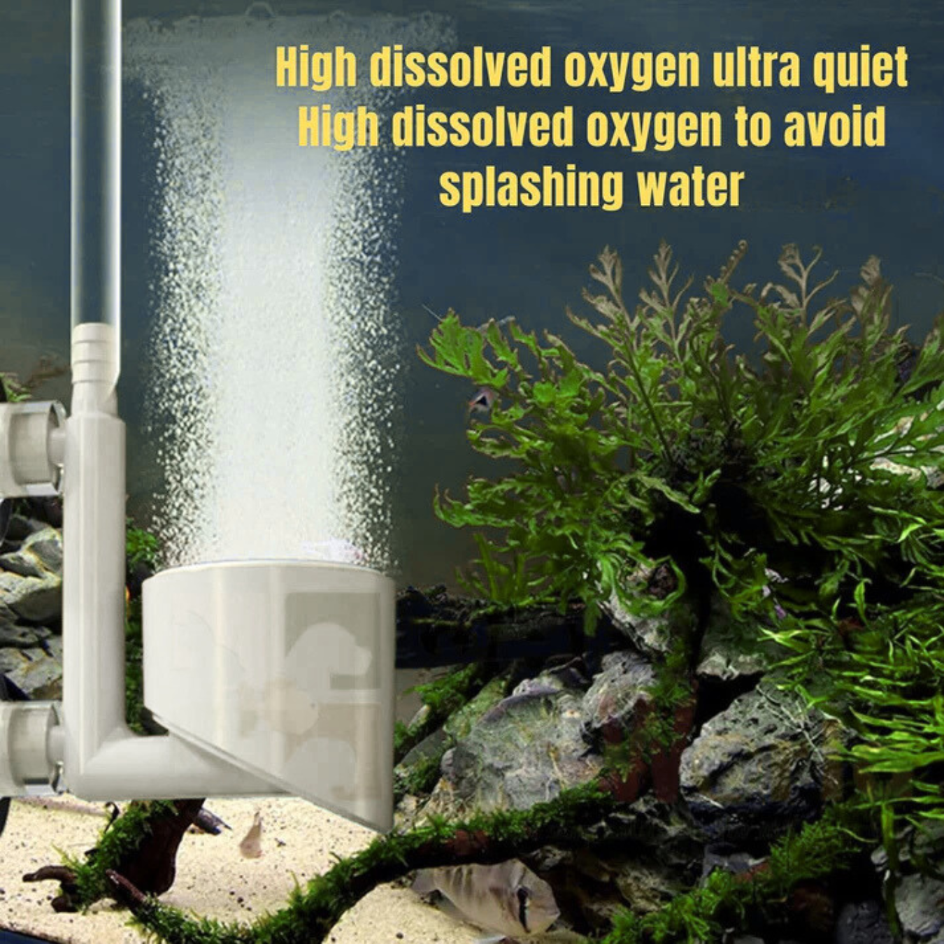 VAYINATO Aquarium White Nano Bubble Air Disc , Airstone For Aquairum Fish Tank With Airtube + Checkvalve