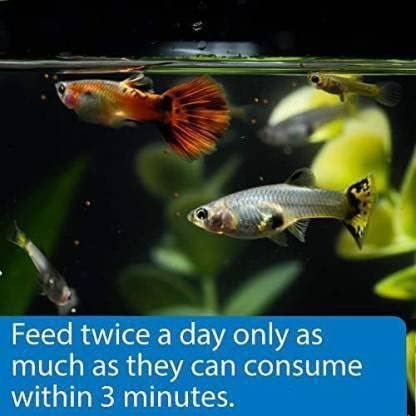 petzlifeworld Horizone (Pack of 3) Healthy Food Combo for Guppy Fish | Elfins The Healthy Guppy Bits-20G, Horizone Royal Breeding for Guppy Fish-22G and Eagle Guppy Flake-100ML