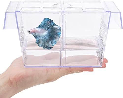 breeding box for fish india Boyu Fish Breeding Box Tank Hatchery Incubator Aquarium Isolation Box