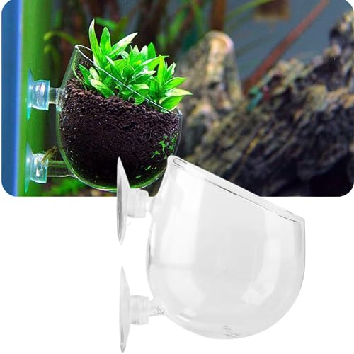 clear glass plant pot PetzLifeWorld Polka Plant Pot for Aquarium Fish Tank