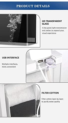 Bluepet Mini Square Shape Aquarium Small Desktop Home Decortive Fish Tank with USB Connector, Multi Mode LED Light, Ultra Silent Pump for Small Fishes (BL 04 ,Size : 20x14x20CM)