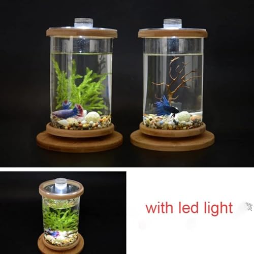 PetzLifeworld Mini Glass Cyl Shape Wooden Bamboo Base 360 Degree Rotating Closed Deskop, Table Home Decoration Bowl Aquarium Fish Tank with Top LED Light for Betta | 15CM*10CM