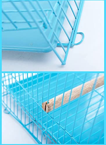 PetzLifeworld 1.5 Feet (18 Inch ) Small Birds Cage Birds Cage For Budgies, Finches, Love Birds, Cocktails, Conures & All Small Birds With Free Hanging Toys