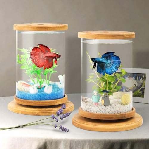 PetzLifeworld Mini Glass Cyl Shape Wooden Bamboo Base 360 Degree Rotating Closed Deskop, Table Home Decoration Bowl Aquarium Fish Tank with Top LED