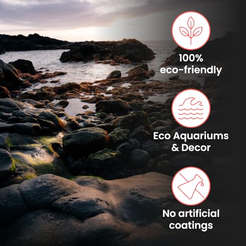 Aquarium Natural Decoration Stone | Flat Stream River Stone | Rio Xingu |