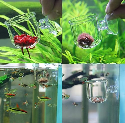 Petzlifeworld Premium Glass Live Blood Worms Feeding Cone with Sucker for Aquarium Fish Tank | Easy to Feed Live Worms Without Making You Tank Messy (Grooved Slice Type Feeder)