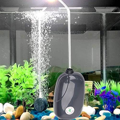 RS Electricals Silent Fish Tank Mini Aerator Oxygen Pump With 2 Meter –  PetzLifeWorld