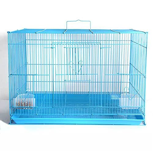 PetzLifeworld 1.5 Feet (18 Inch ) Small Birds Cage Birds Cage For Budgies, Finches, Love Birds, Cocktails, Conures & All Small Birds With Free Hanging Toys