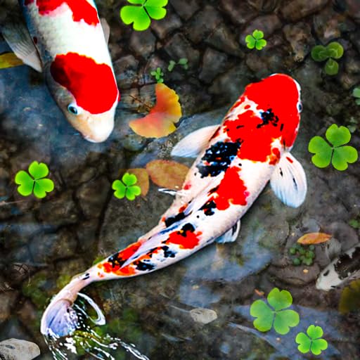 PetzLifeworld Nosh 1Kg Economical Daily Diet Aquarium Fish Food, Specially Made for Koi, Gold Fish and Tropical Fish Food | Floating Pellets | Wont Cloud The Water