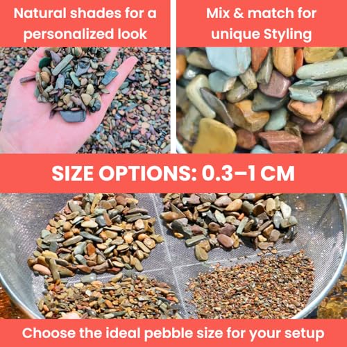 Aquarium Natural Decoration Stone | Flat Stream River Stone | Rio Xingu |