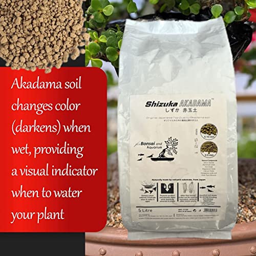 Aquatic Remedies Shizuka Akadama Japan Soil for Bonsai, Succulant and Aquarium, 5L