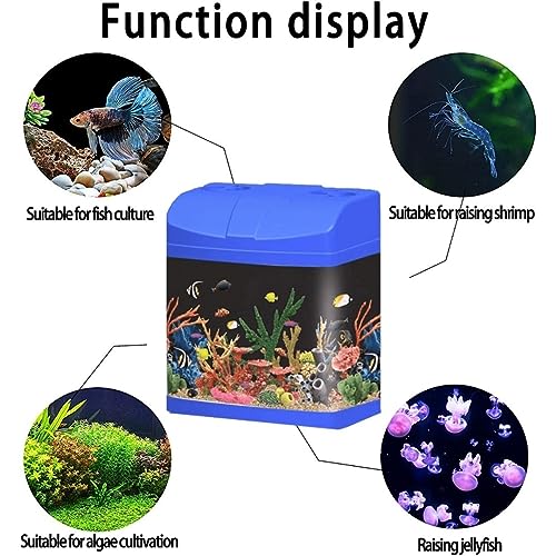 Petzlifeworld Acrylic Betta Tank Easy Handling Suitable for Home, Office, Kitchen Refrigerator Decoration | Water Capacity – 1 Litre | Top Open Type (Tank Only | Colour May Vary)