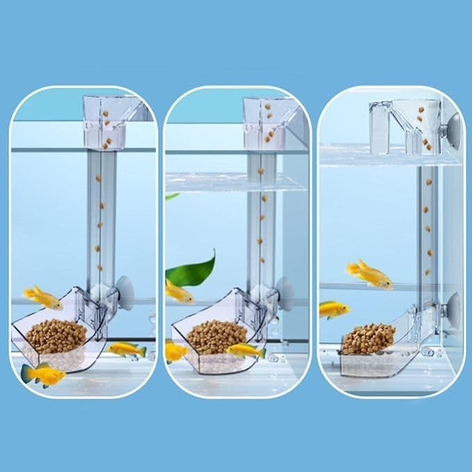Petzlifeworld Clear Acrylic Fixed Point Hanging Fish Food Feeding Tube for Aquarium Fish Tank | Suitable for Bottom Feeder Fish and Shrimp