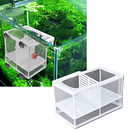 breeding box for fish india Boyu Aquarium Fish Breeding, Isolation, Hatchery Box for Fish Fry Net – PetzLifeWorld