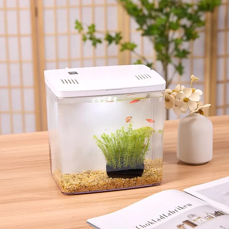 Bluepet Mini Square Shape Aquarium Small Desktop Home Decortive Fish Tank with USB Connector, Multi Mode LED Light, Ultra Silent Pump for Small Fishes (BL 04 ,Size : 20x14x20CM)