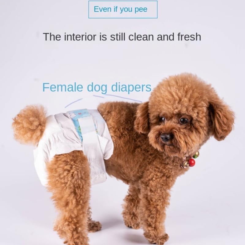 PetzLifeworld Female Env-Friendly Disposable 10 Pcs Pack for Dog and Cat Diaper