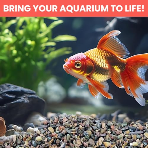 Aquarium Natural Decoration Stone | Flat Stream River Stone | Rio Xingu |