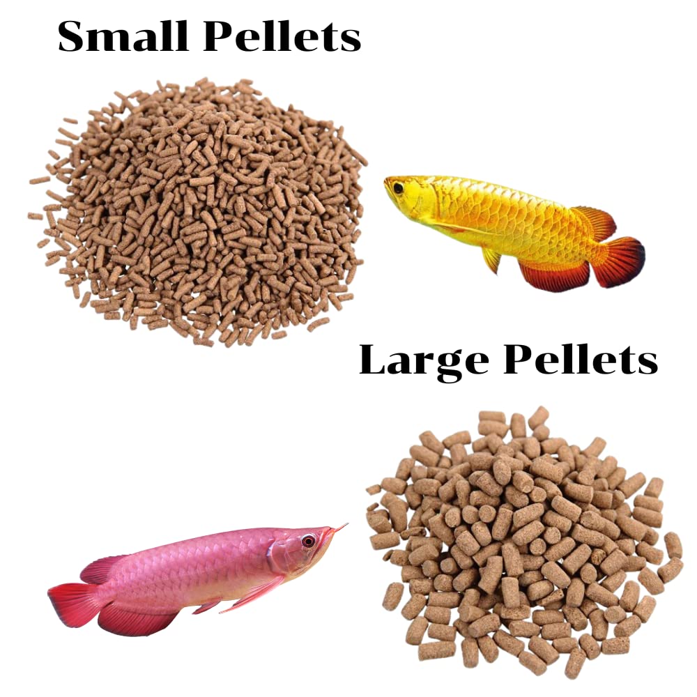 Petzlifeworld Ocean Free AR-G1 Arowana Carnivorous Pellet Fish Food 250g | High Protein Floating Pellets | Premium Feed for Arowana & Large Carnivorous Fish