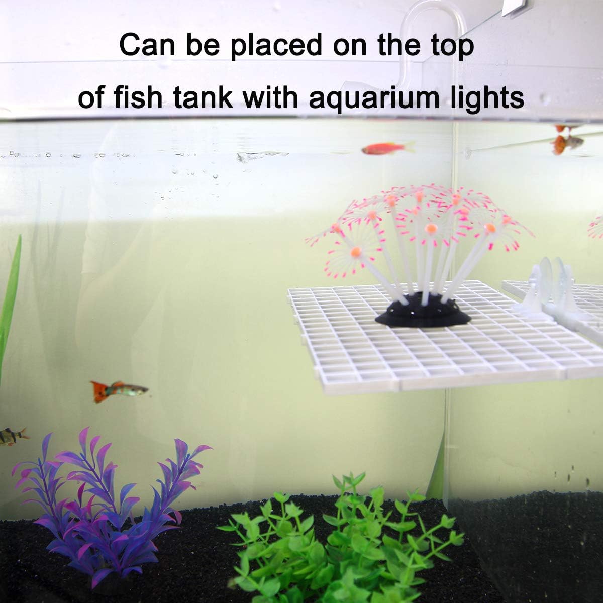 Petzlifeworld White Fish Tank Divider Plastic Aquarium Divider Panel Separator Grid Isolation Board (Clip Not Included)