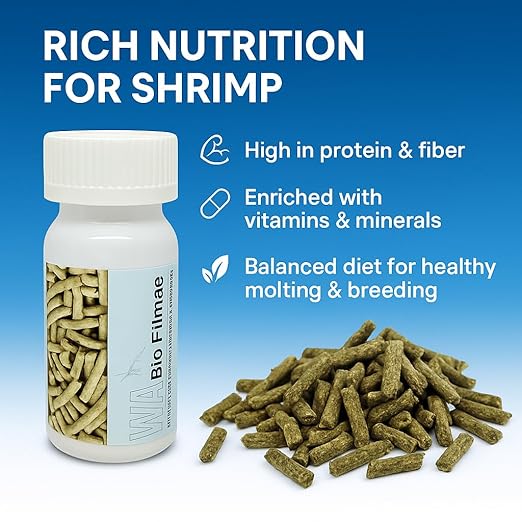 Petzlifeworld Wa Shrimp Sticks 15G Sinking Type Food Stick For Shrimps(Bio Filmea-Probiotic And Prebiotic Feed)