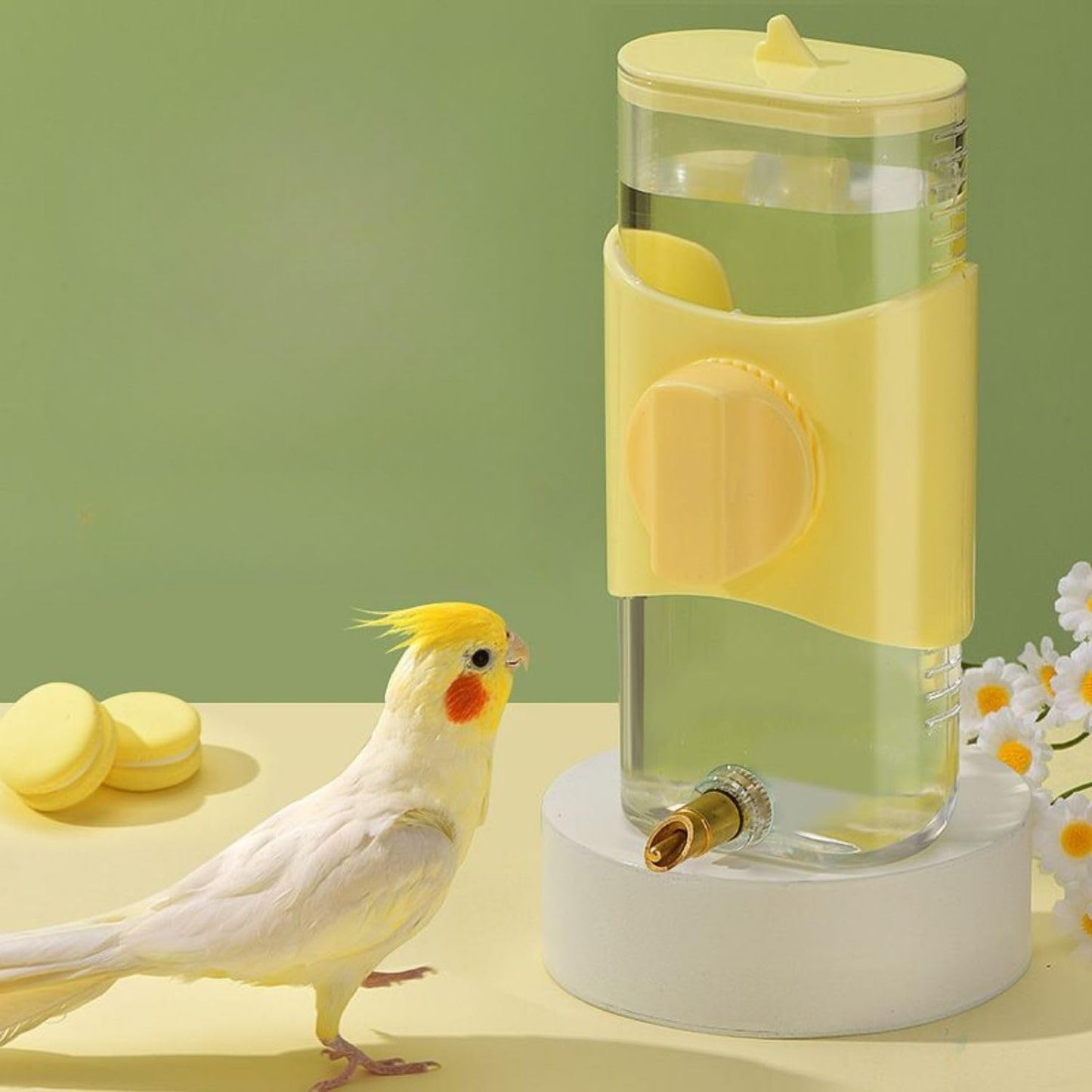 Petzlifeworld 280ml (Random Color) Automatic Bird Water Dispenser with Brass Nozzle