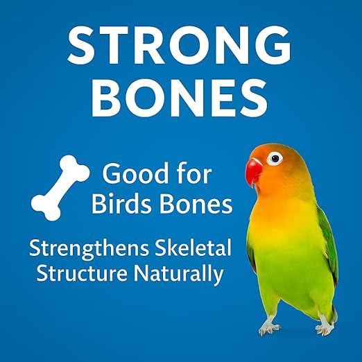 Birds Healthy Raise Breed Daily Natural Minerals Specially Soft Calcium Block, 50G (Pack of 2) for All Kind of Birds - All Life Stages by Petzlifeworld