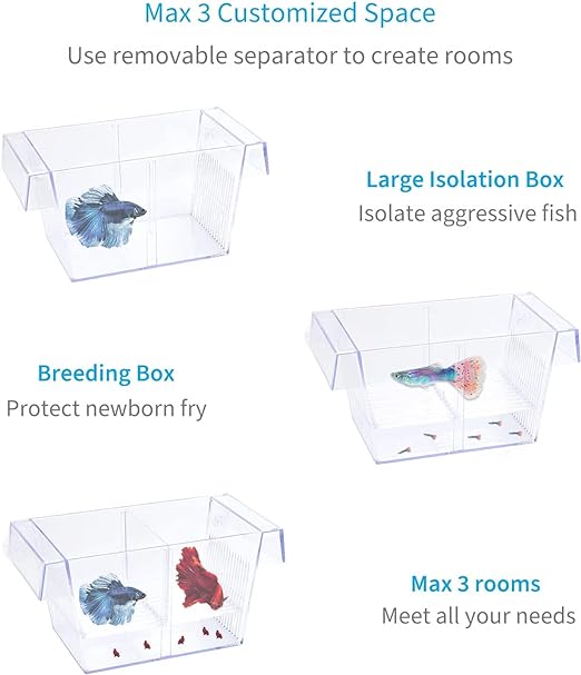 Chicos Double Long Guppy Fish Breeding Tank Fish Hatchery Acrylic FH-101