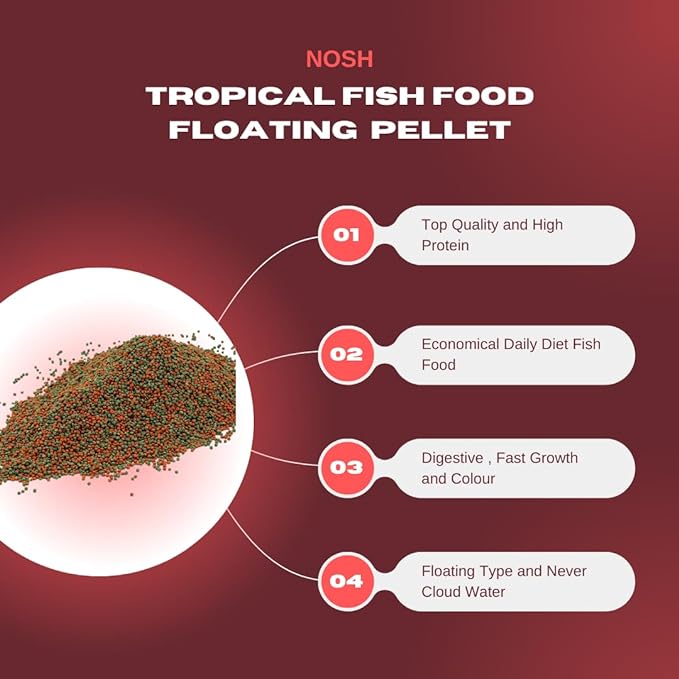 PetzLifeworld Nosh 1Kg Economical Daily Diet Aquarium Fish Food, Specially Made for Koi, Gold Fish and Tropical Fish Food | Floating Pellets | Wont Cloud The Water