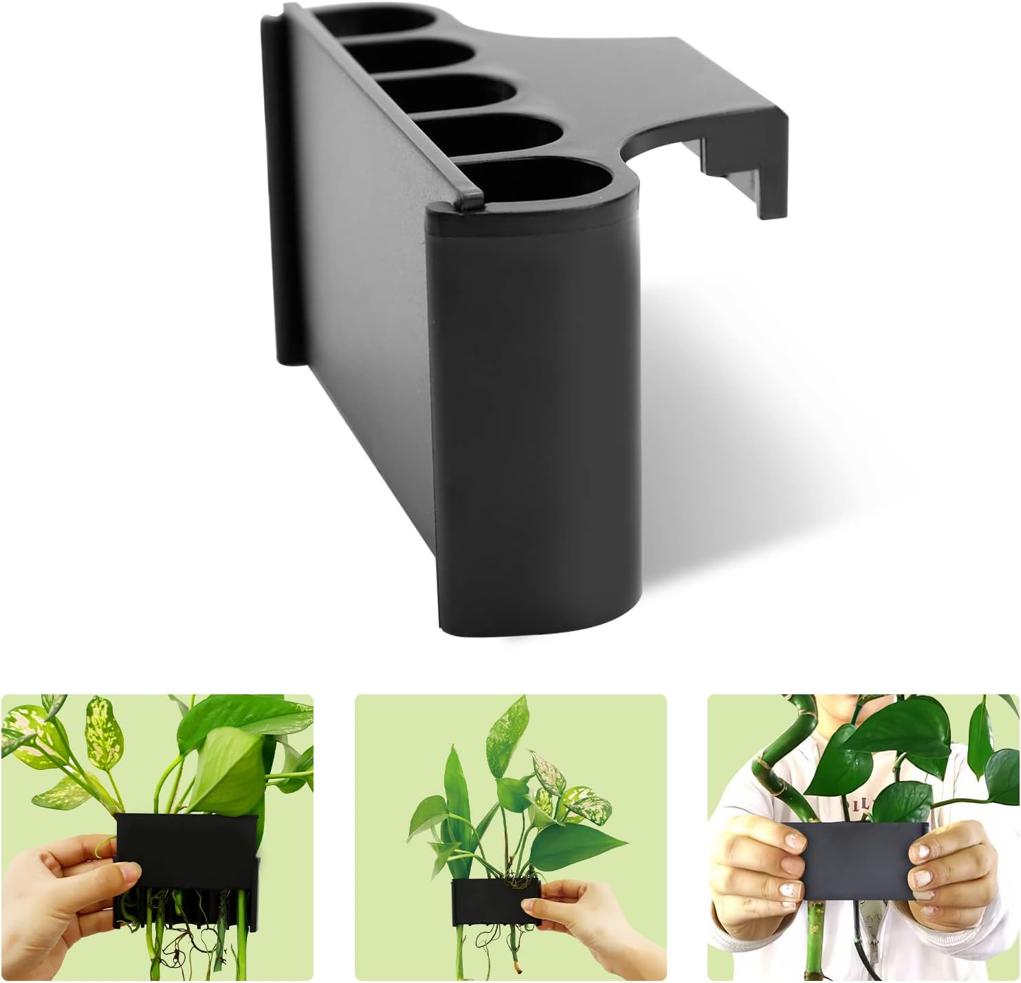 money plant fish tank VAYINATO® 5 Hole Aquarium Fish Tank Water Plant and Indoor Money Plast – PetzLifeWorld