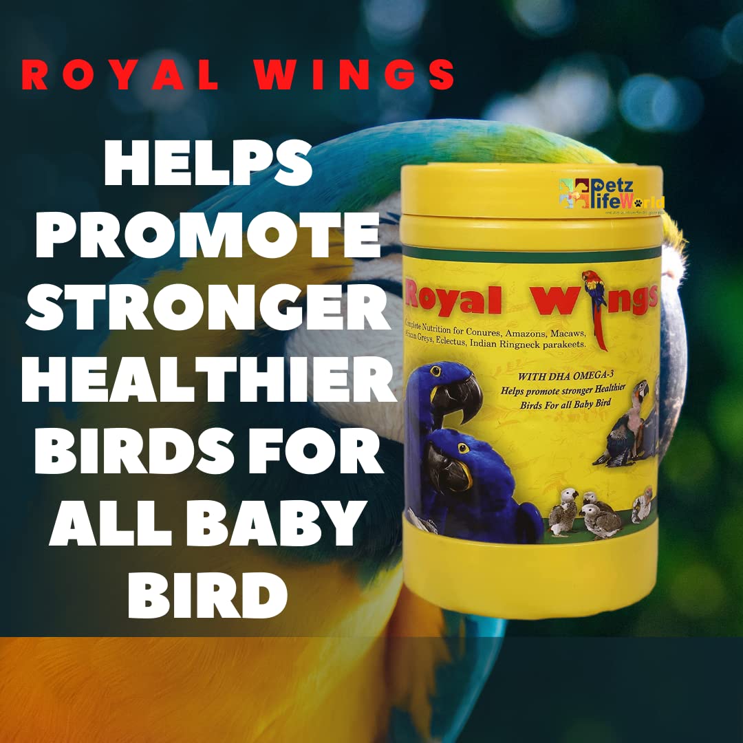 Star Farms Royal Wings Hand Feeding Formula With Hand feeding syringe