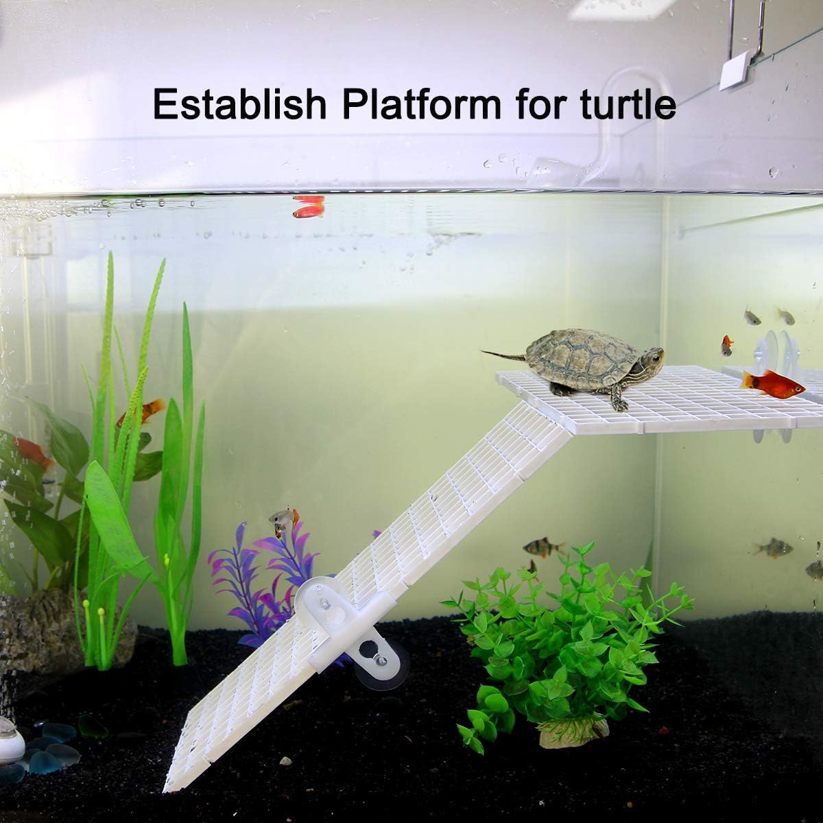 Petzlifeworld White Fish Tank Divider Plastic Aquarium Divider Panel Separator Grid Isolation Board (Clip Not Included)