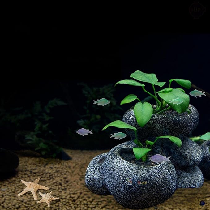 Petzlifeworld Multi-Function (F 950-M) Stone Bonsai Water Plant Pot Fish Tank Stone Decoration Cave for Fish Breeder Bonsai Shelter | Non-Toxic and Safe for Both Fish and Aquatic Plants