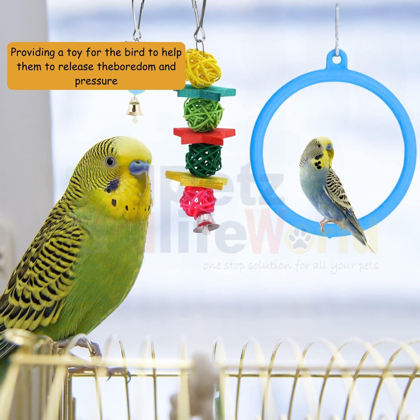 Petzlifeworld (3 Pcs) Bird Cage Hanging Toys, (2 Pcs Ring + 1 Pcs Ladder) Combo for Cockatiel, Love Bird