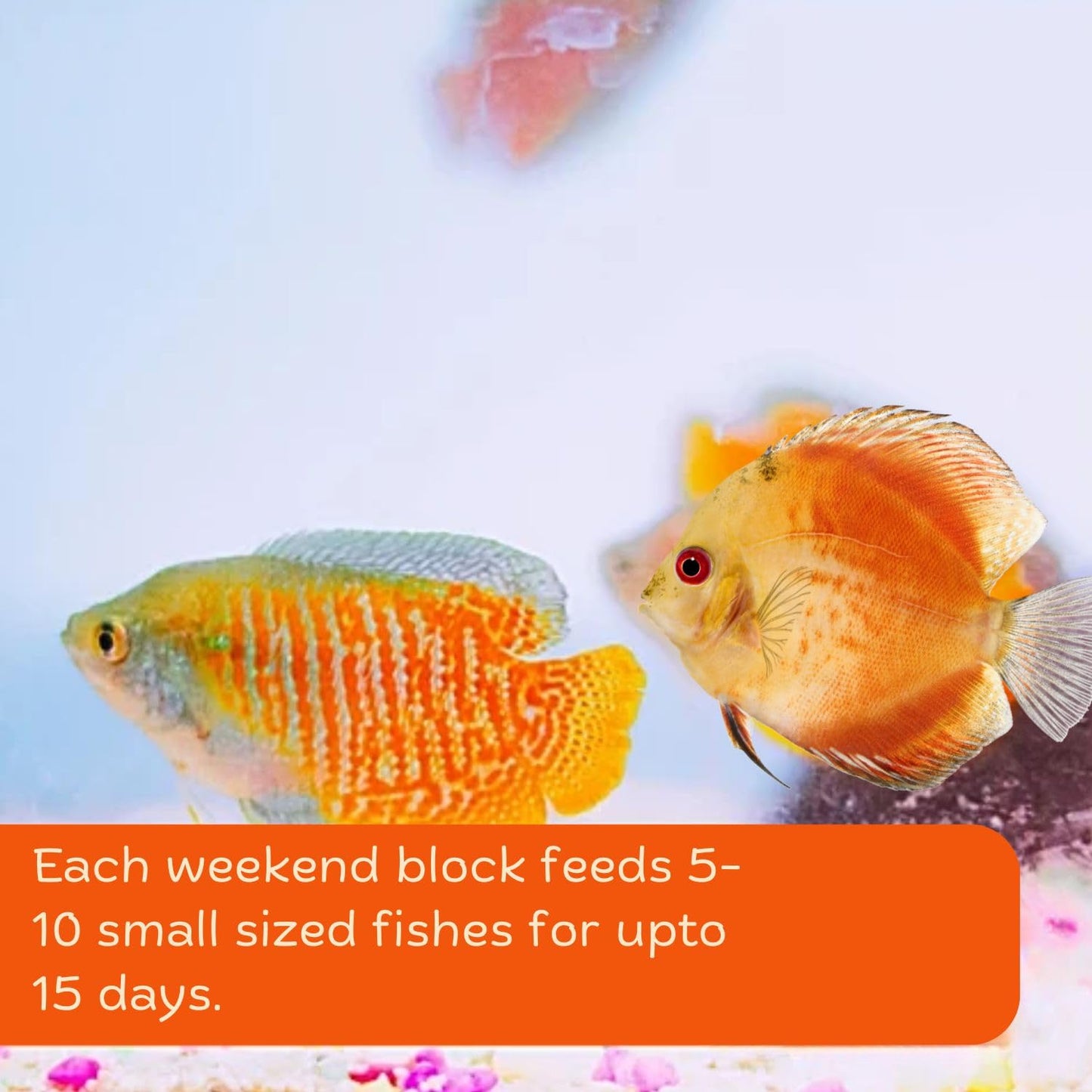 Redfin 15 Days Holiday Fish Food Block