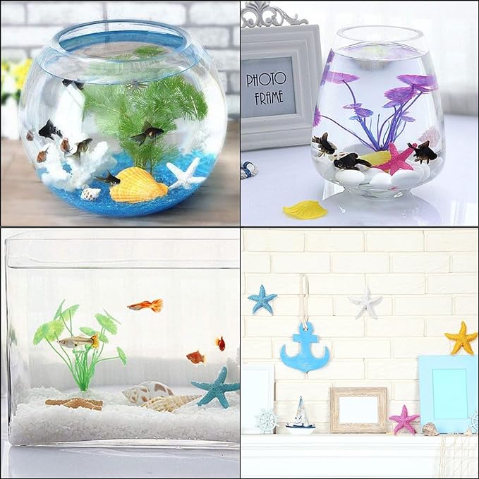 Petzlifeworld 2 Pcs Resin Starfish Aquarium Decoration Multi-Colored Aquarium Artificial Starfish(Random Colour Only)