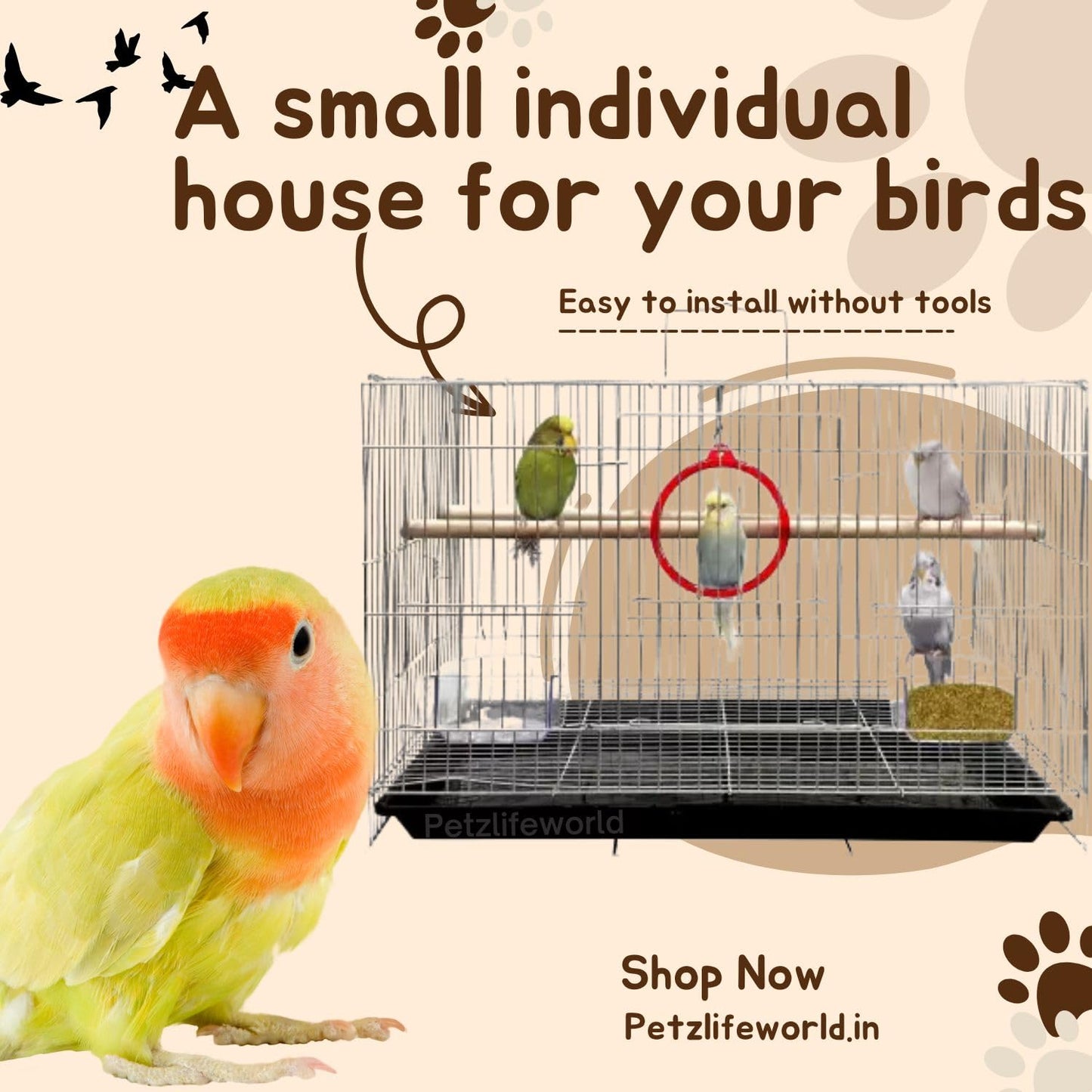Petzlifeworld 2 Feet (24 Inch) Stainless Steel Birds Cage