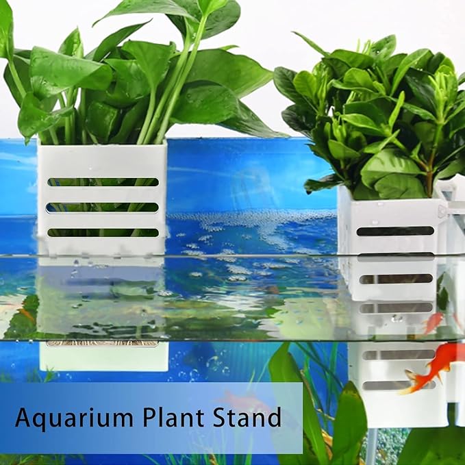 Petzlifeworld 2 Pcs White Hanging Water Plant Holder (Box Type) Pot for Aquarium Fish Tank, Aquaponics and Hydroponics with Hooks and Suction Cups for Easy Installation