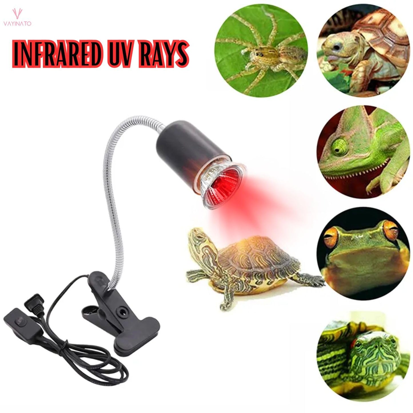 Petzlifeworld 50W Infrared UV Rays (Red) Reptile Turtle Heat Lamp Lights, Night Use UVA UVB Aquarium Bulbs