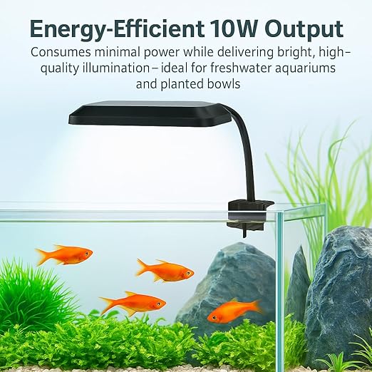 Petzlifeworld Nemo E-500 | 10W Multi-Mode WRGB Aquarium LED Light | Clip-On Lamp for Upto 2 Feet Tank | Ultra-Thin-Sleek Design | 3 Lighting Modes | Energy-Efficient & Splash-Proof