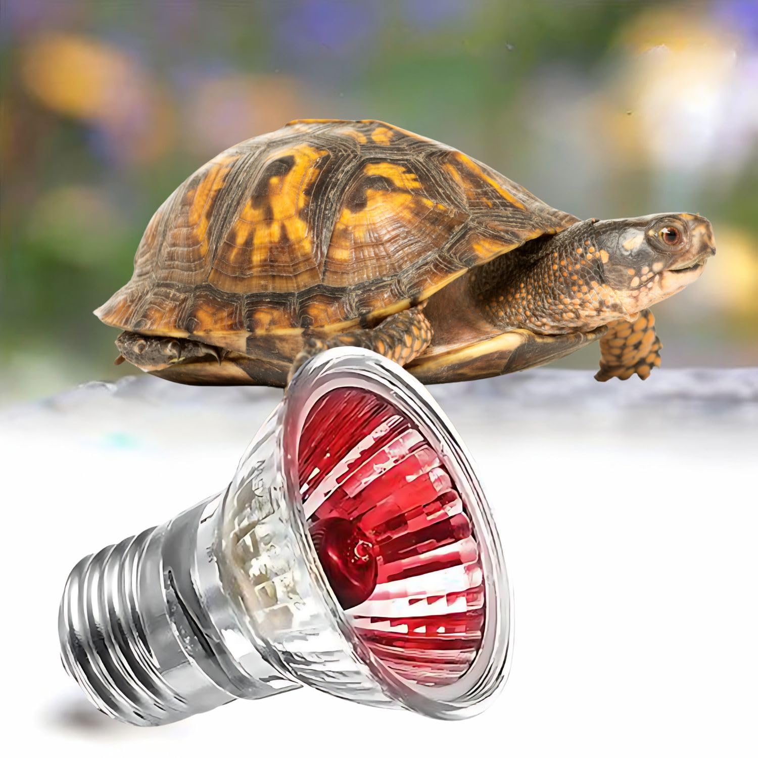 Petzlifeworld 50W Infrared UV Rays (Red) Reptile Turtle Heat Lamp Lights, Night Use UVA UVB Aquarium Bulbs
