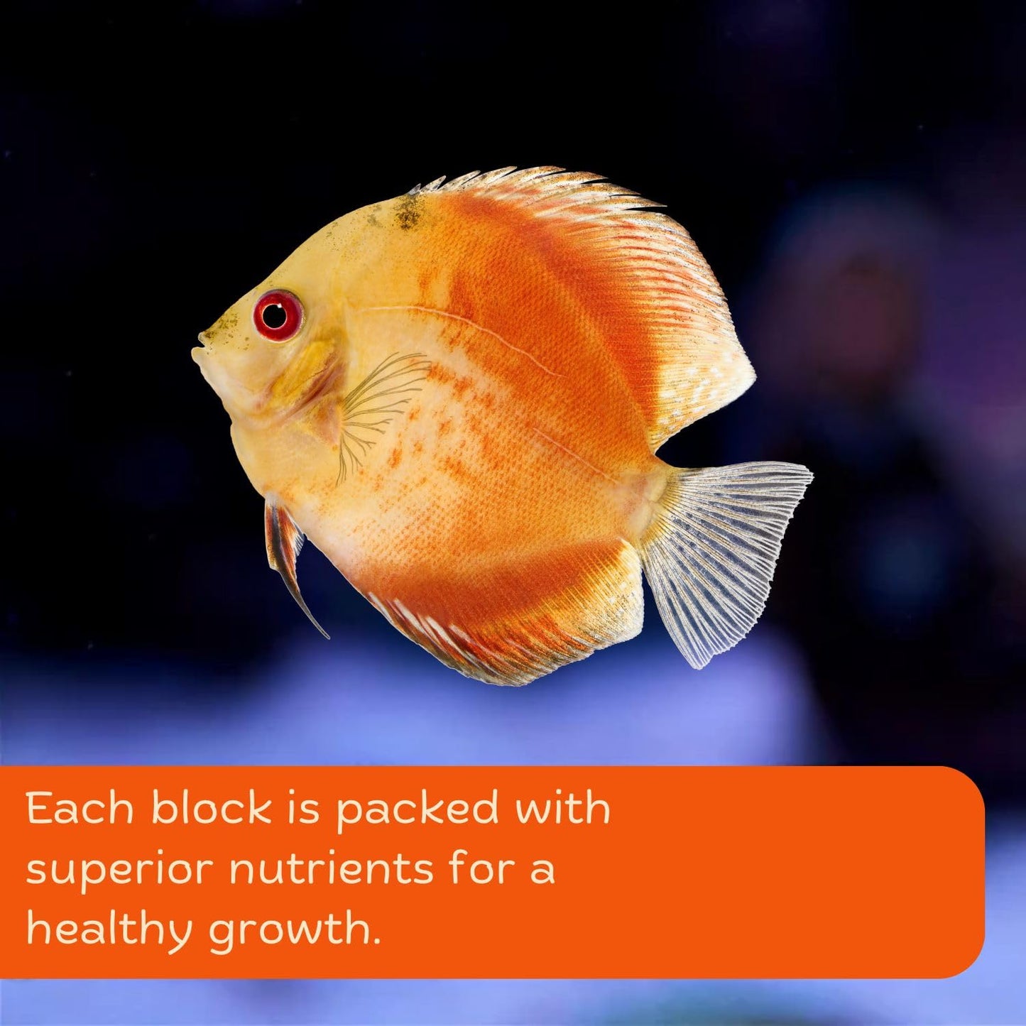 petzlifeworld Redfin 15 Days Holiday Fish Food Block | All Life Stages | Suitable for All Tropical Fish | No Water Clouding | Energy Boost Formula | Vacation Auto Feeder