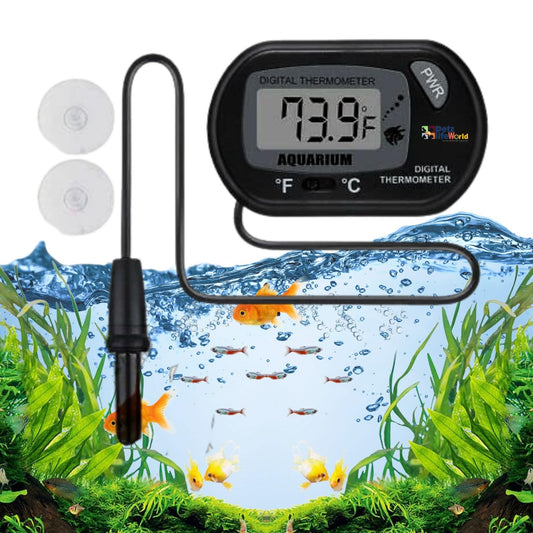 PetzLifeworld Digital LCD Aquarium Thermometer with Suction Cups | Battery Replaceable | Aquarium  Fish Tank Temperature Monitor