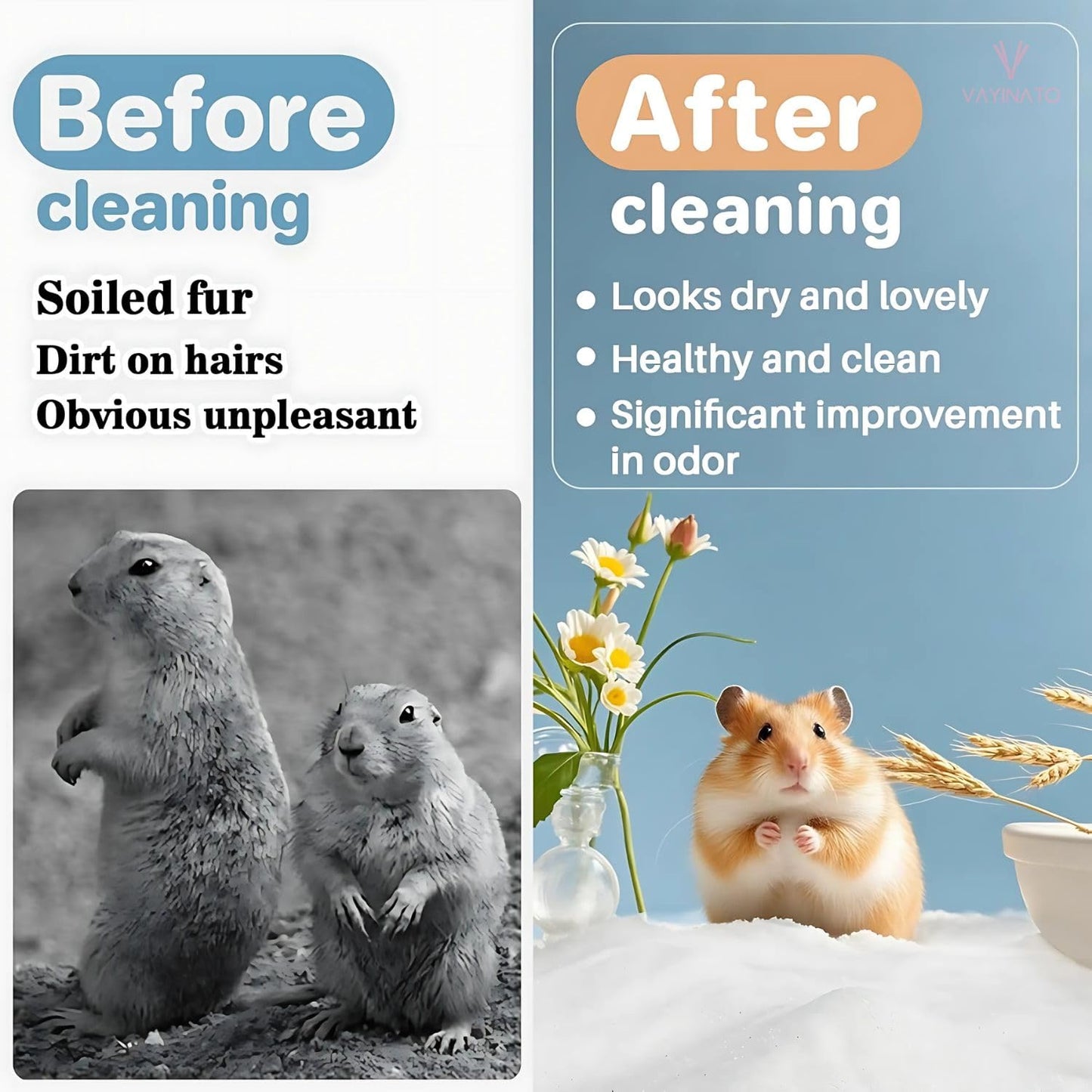 Petzlifeworld 1Kg Dust-Free Natural Flavour Bath Sand for Hamster Odor-Control Grooming Sand for Hamsters, Guinea Pigs, Gerbils & Chinchillas