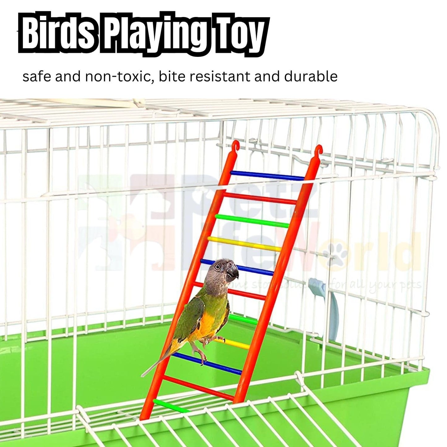 Petzlifeworld (3 Pcs) Bird Cage Hanging Toys, (2 Pcs Ring + 1 Pcs Ladder) Combo for Cockatiel, Love Bird