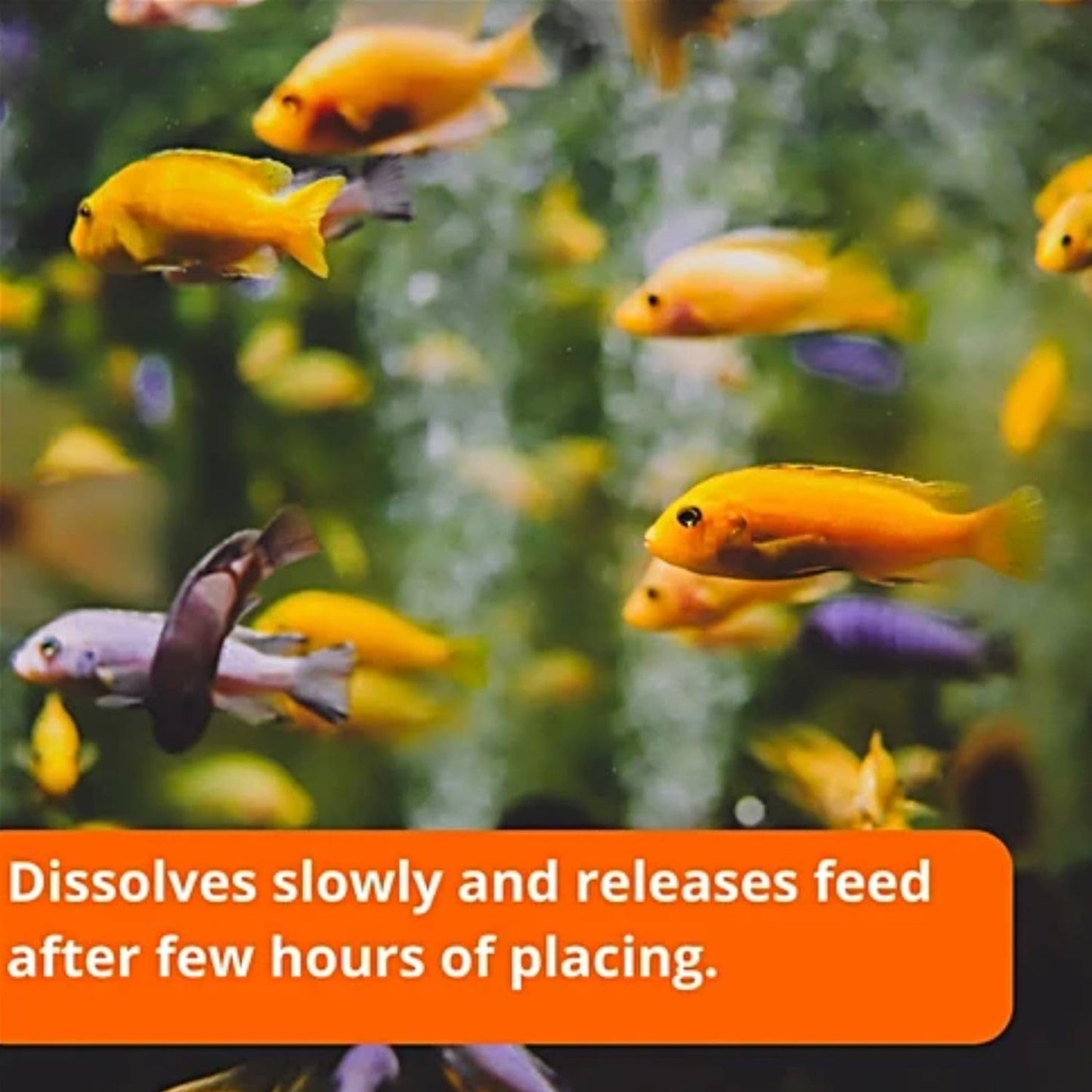 Redfin 15 Days Holiday Fish Food Block